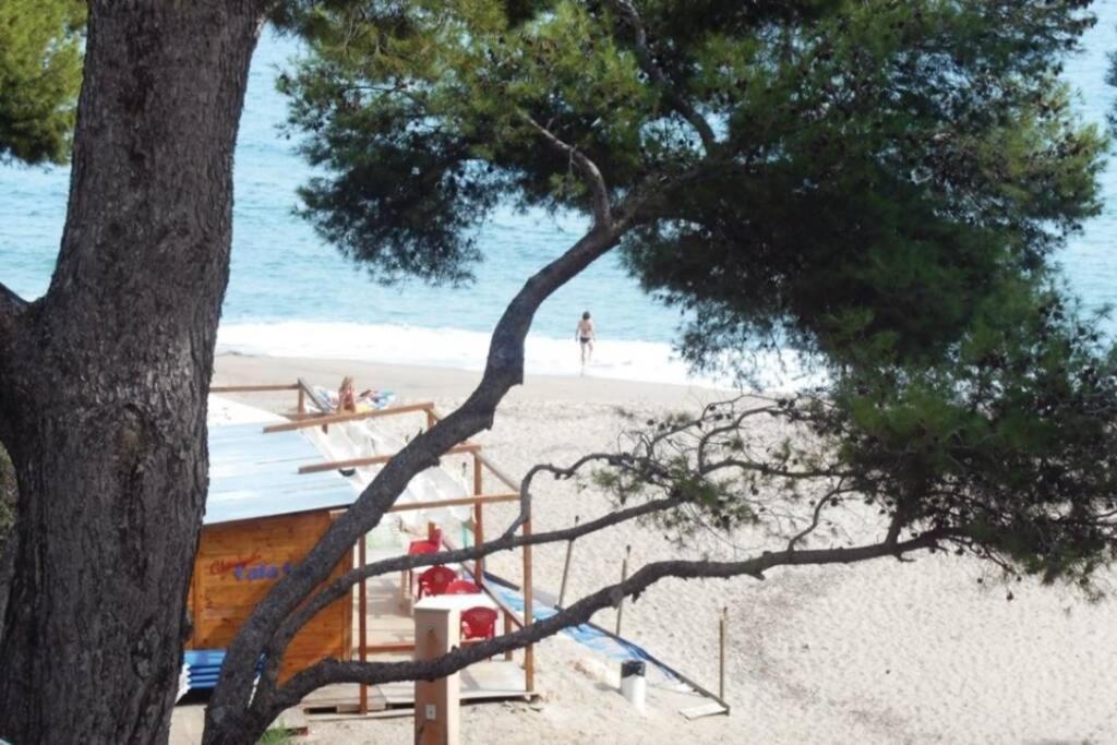 迈阿密普拉特亚Preciosa Casa Con Piscina Al Lado De La Playa别墅 外观 照片